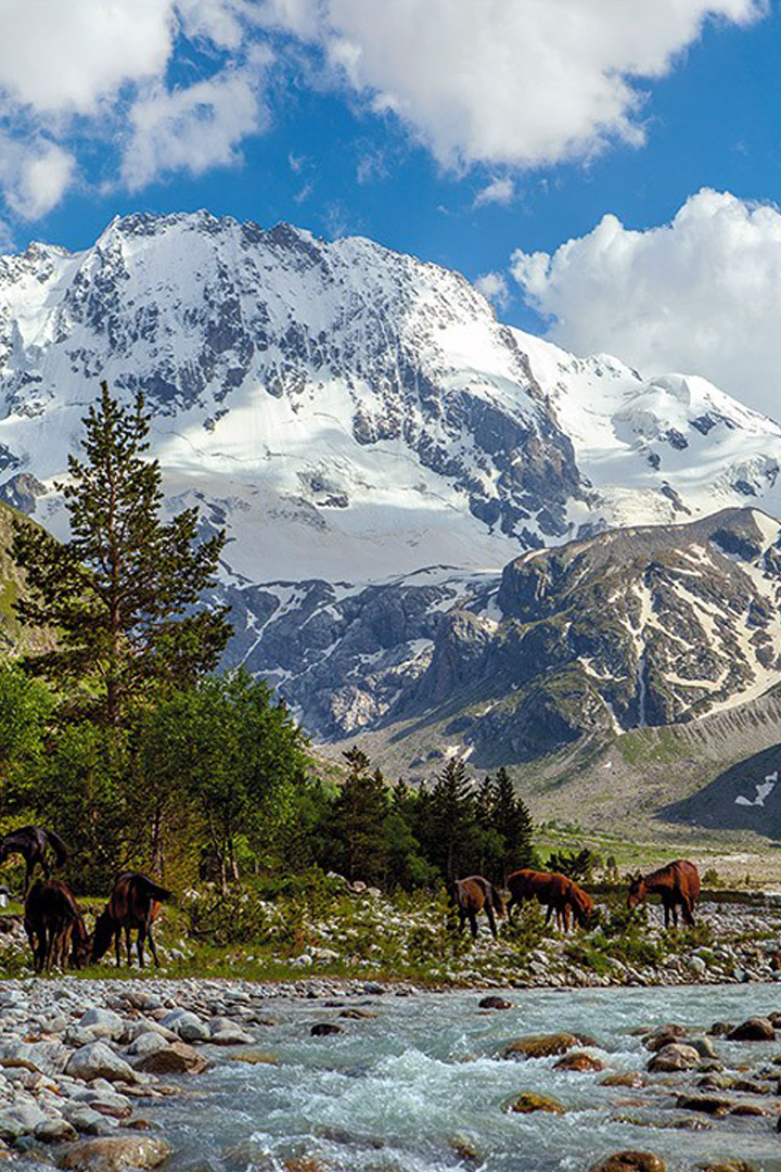 «Адыгея. Легенда Кавказских гор»